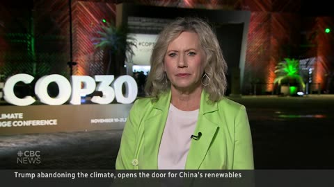 Protesters overshadow climate talks at 30th Annual Climate Conference, Brazil