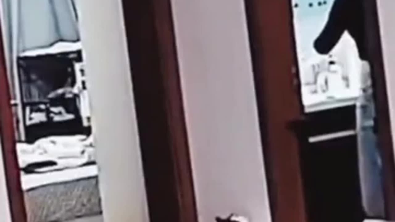 🤣🖐 Divine Slap That Will Shock You! | FunFM