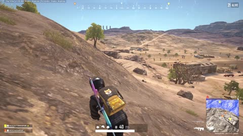 TIGER SMACKED IN DESERT