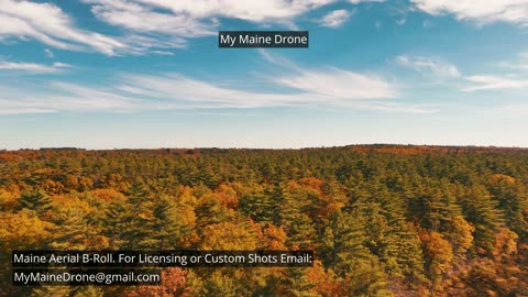 Maine B-Roll (No Sound): Fall Foliage at Lily Pond in New Gloucester, Maine Video 15
