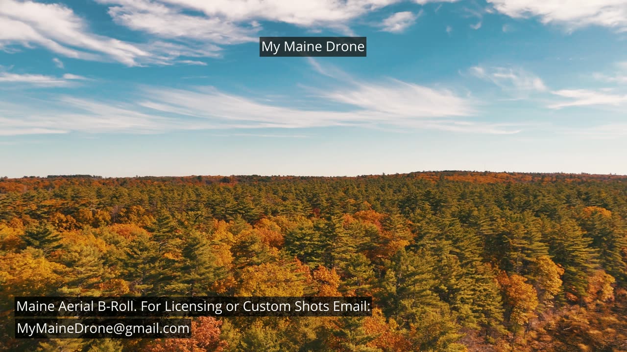 Maine B-Roll (No Sound): Fall Foliage at Lily Pond in New Gloucester, Maine Video 15