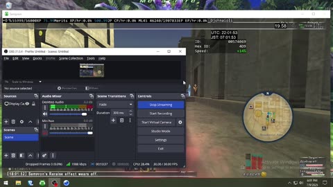 Playing Final Fantasy XI Online