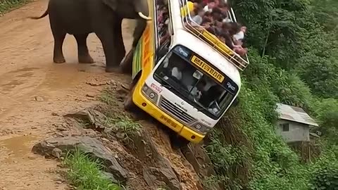Elephant Pushes Bus Off Cliff | Shocking AI Jungle Scene | AI-Generated