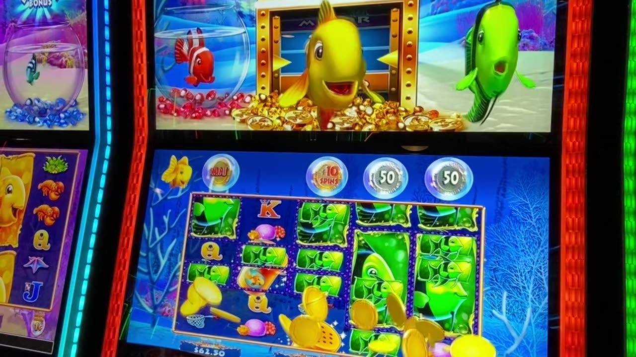 BIG FISH WIN!