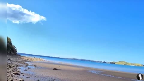 Karaka Bay Beach Auckland New Zealand Tour