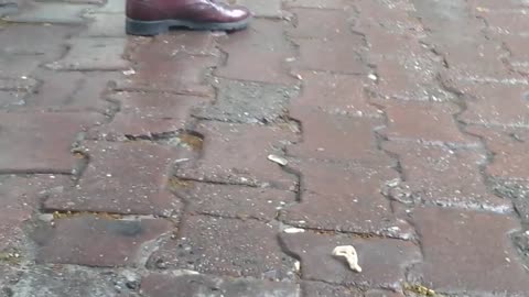 Army Giantess 1 - Candid