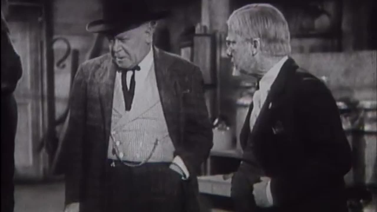 The Bashful Bachelor (1942)