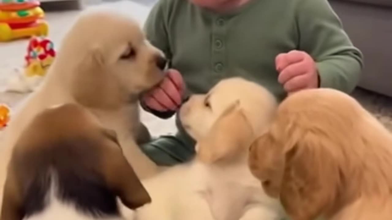 Baby’s Cutest Playtime with Cat 🐱👶 | Adorable Moments"