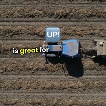 Peanuts Unshelled: 10 Surprising Facts About the Mighty Groundnut!