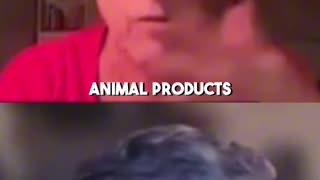 Are you afraid of eggs?!