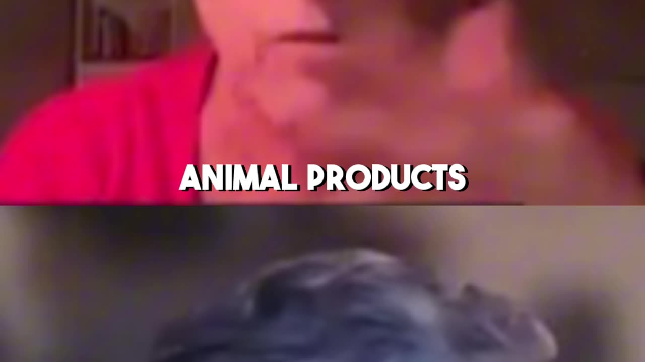 Are you afraid of eggs?!