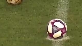 If it wasn't recorded nobody would believe how perfect it was in the middle.