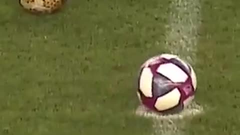 If it wasn't recorded nobody would believe how perfect it was in the middle.