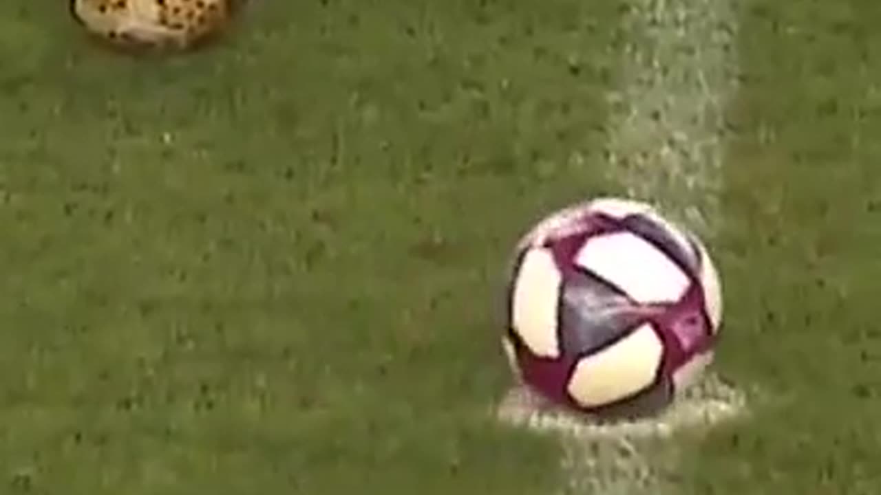 If it wasn't recorded nobody would believe how perfect it was in the middle.