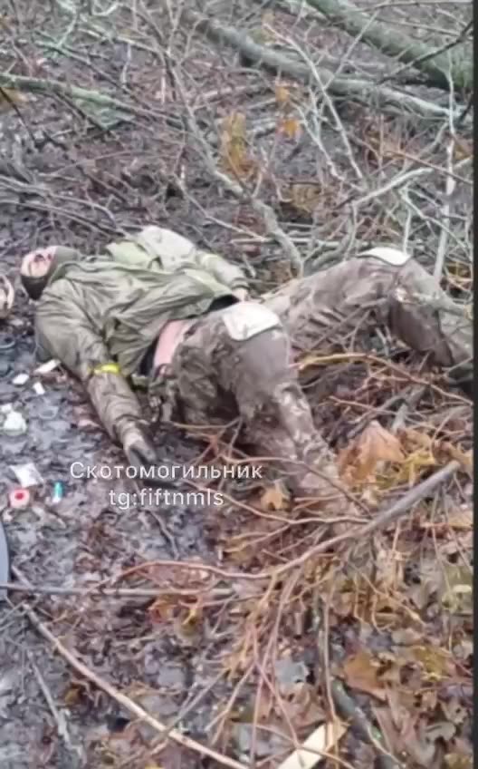 Unpacking a freshly fucked cleaver