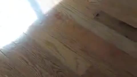 Concrete Stain Atlanta | Atlantaflooring.io