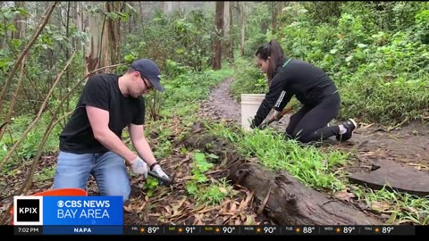 Community members comment on lack of trust in SF Parks Alliance