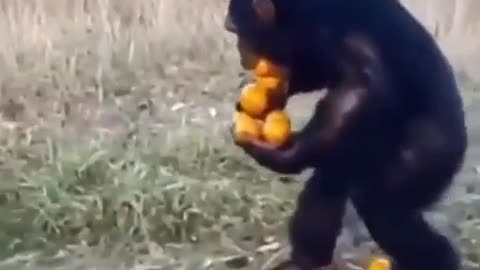 😂💪 Watch This Epic One-Trip Challenge Fail! | FunFM