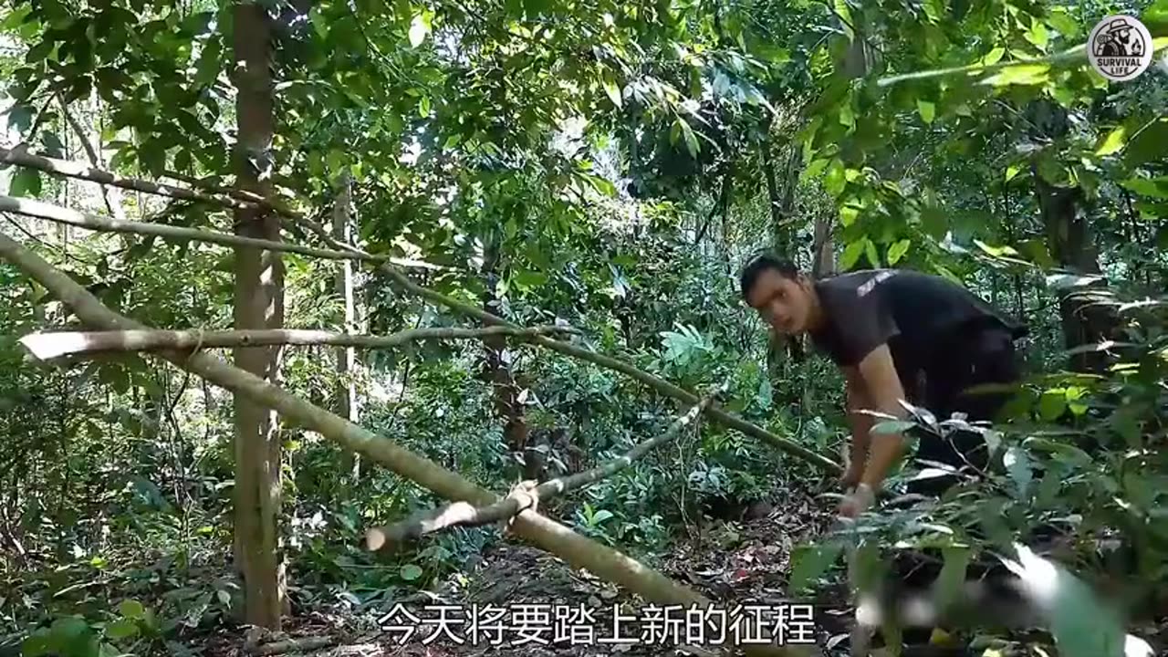 Solo Survival Work with Relaxing Remix