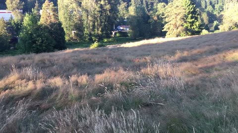 Waynes park run 2390824308
