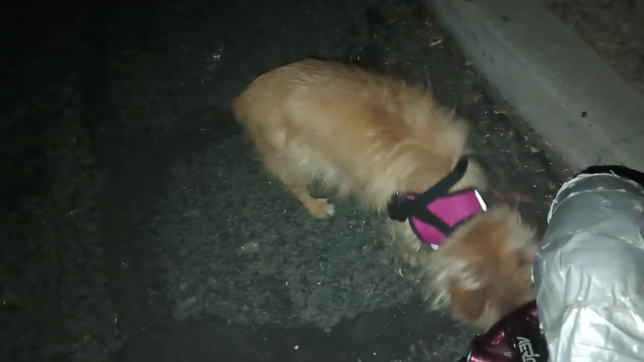 VID_20250623_214102730