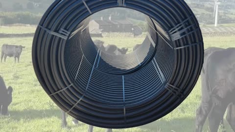 Delivering HDPE Water Pipe