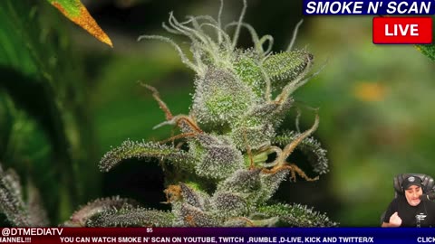 LIVE LA CITY CLOWNCIL MEETING !! 1/16/26