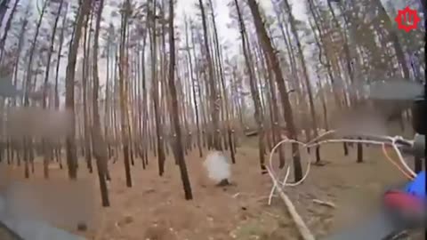 Ukrainians Working to Clear Out Russian Infantry from Forested Area in Luhansk