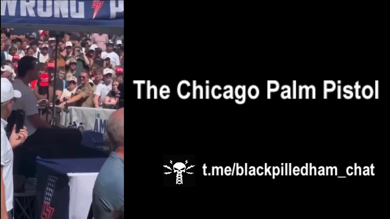 kirk - the chicago palm pistol