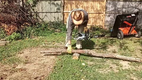 EGO Chain Saw