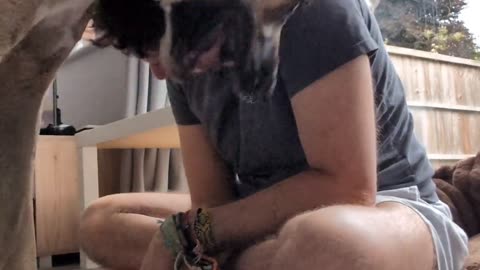 😂🐶 You Won't Believe This Dog's Struggle! | FunFM