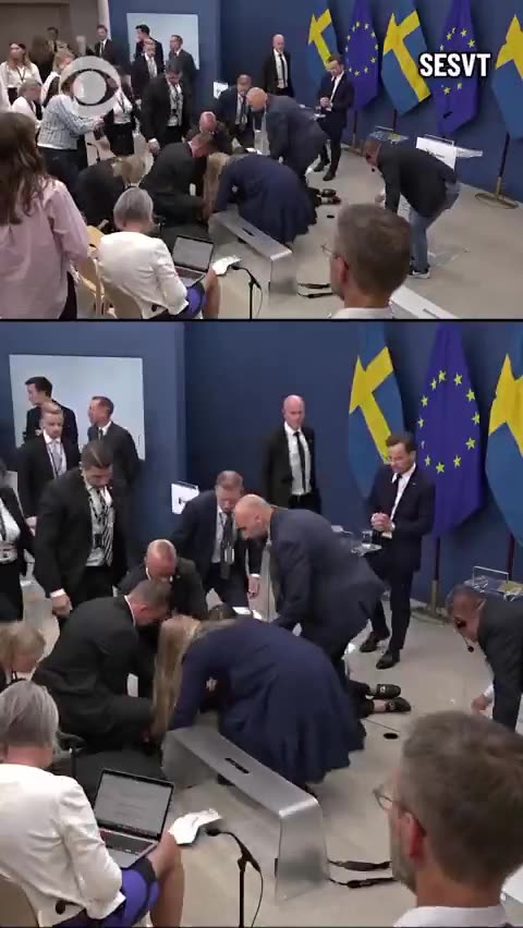 Sweden's health minister collapses on her first day