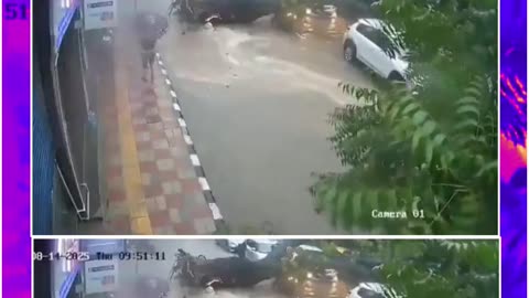 Shocking CCTV: Father-Daughter Crushed by Falling Tree in Delhi’s Kalkaji
