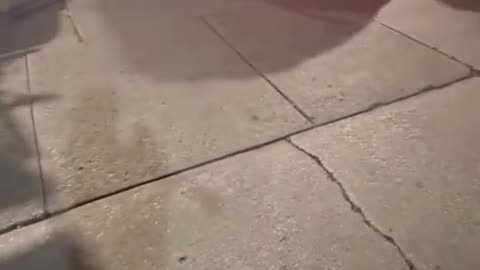 The rim knocks out guy