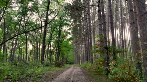 Sunday Morning Service