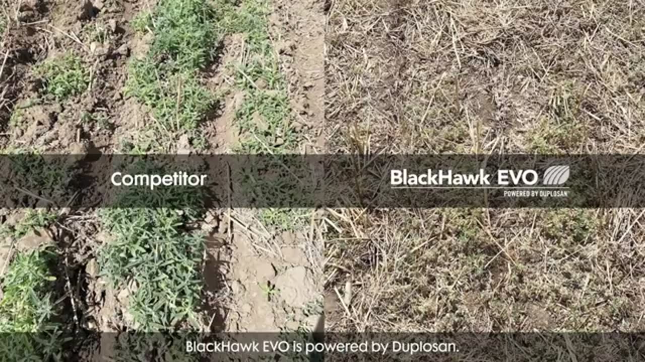 Ask a Nufarmer - What is BlackHawk EVO?
