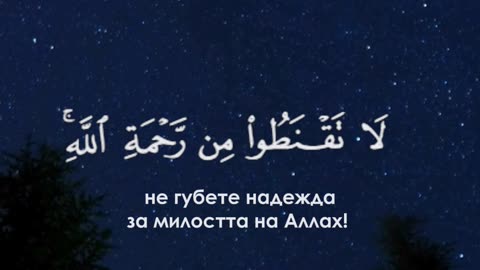 Сура Зумар | Аяти 53-55 (Абд Ал-Джауад Адил)