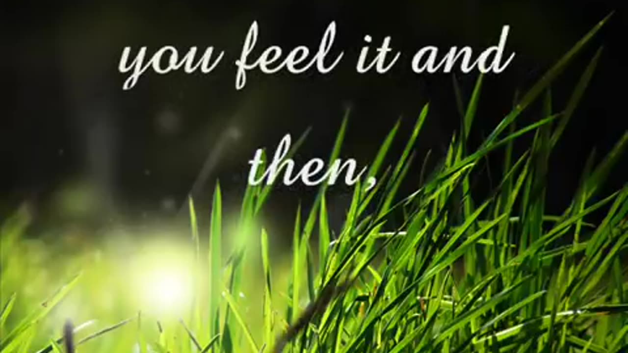 Will of the Wind By Jim Photoglo