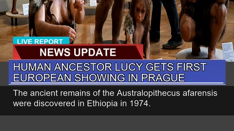 Human Ancestor Lucy Gets First European Showing in