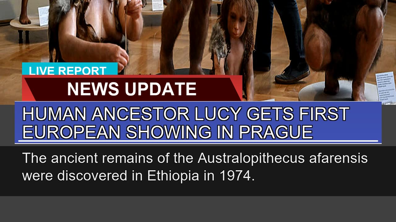 Human Ancestor Lucy Gets First European Showing in