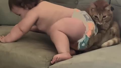 Baby Tries To Sit With Cat On Couch