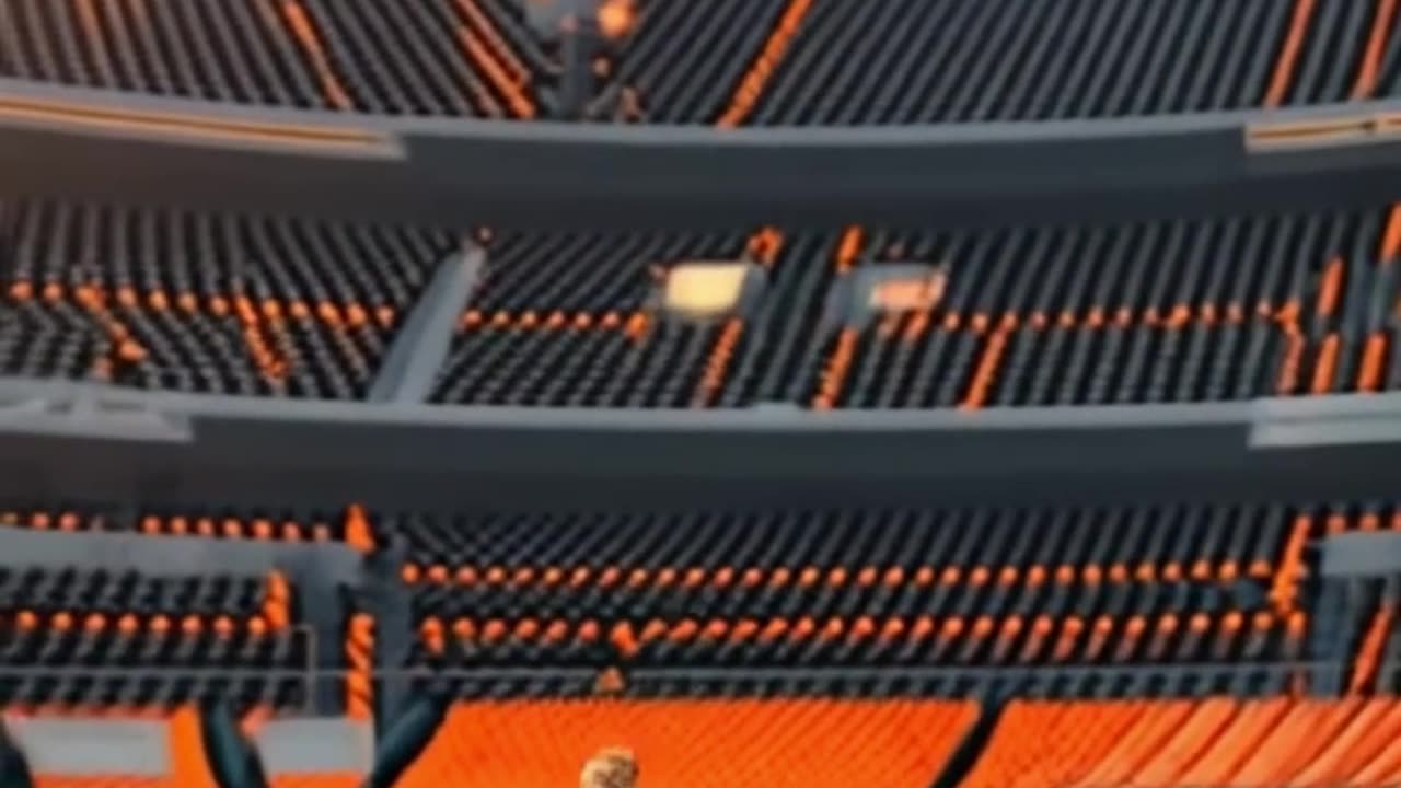 Cat Play Foot ball player