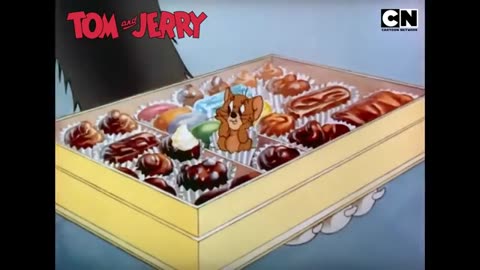 Tom and Jerry 😺🐭| T & J’s Summer Escapades! ☀️| Cat and the Mouse | Animated Cartoon 😍