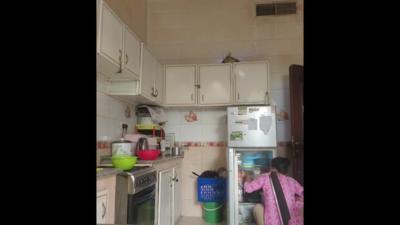 My Daily Routine in kitchen 😱🤩😲