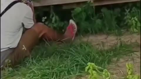 🔥🚨 Myanmar War | Ambush on Junta Patrol in Meiktila Township | RCF