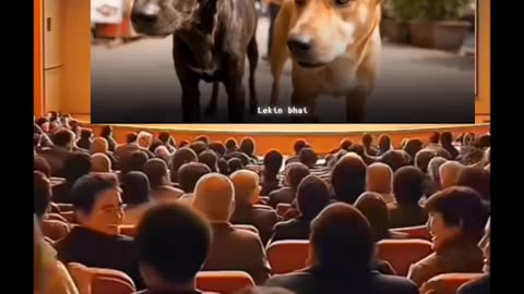 Dogs save video