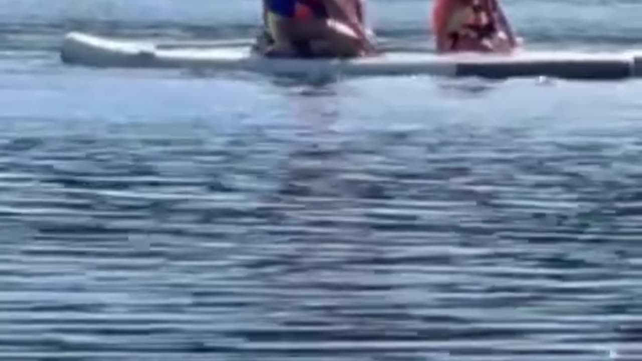 Paddle board rides