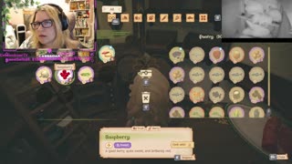 Chicken Live Stream