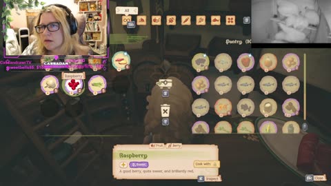 Chicken Live Stream