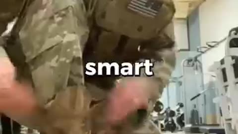 Trending: Waking Up at 4am Every Day Before Boot Camp